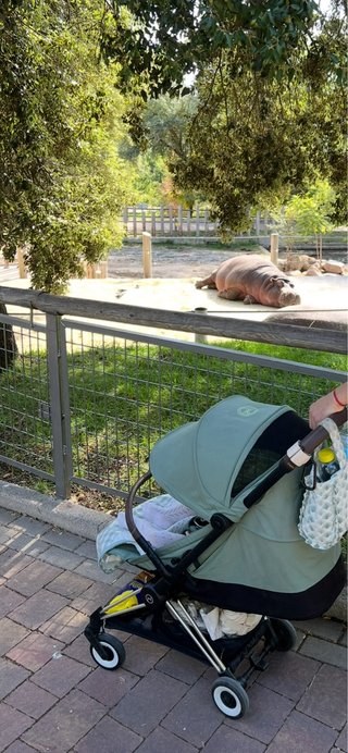 Passeggino Cybex Coya