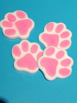 Cajita regalo Waxmelts patitas  y Hueso