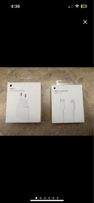 Caricatore Apple USB-C 20W + Cavo Lightning
