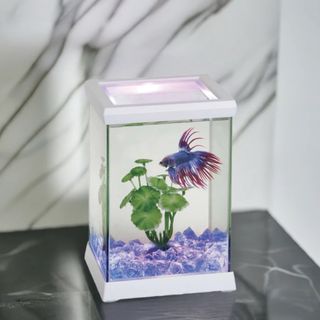Acuario Cúbico de Cristal y Plástico con luces Led