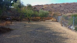 Se alquila terreno vallado para huerto