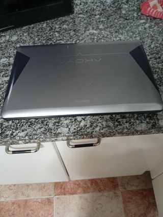 Portátil Medion Akoya 17 Plata