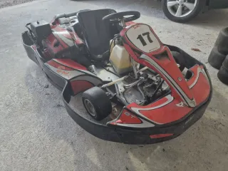 Kart  270cc motor Honda  adulto