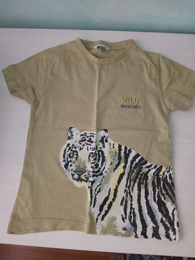 3 Camisetas cortas 6 Años Levis, Mayoral, jurassic