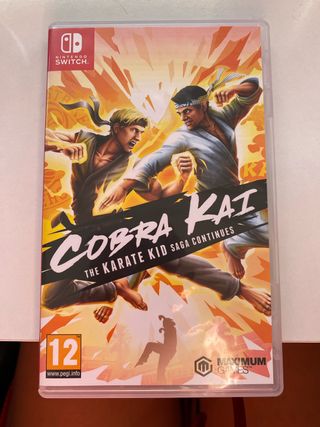 Cobra Kai Nintendo Switch