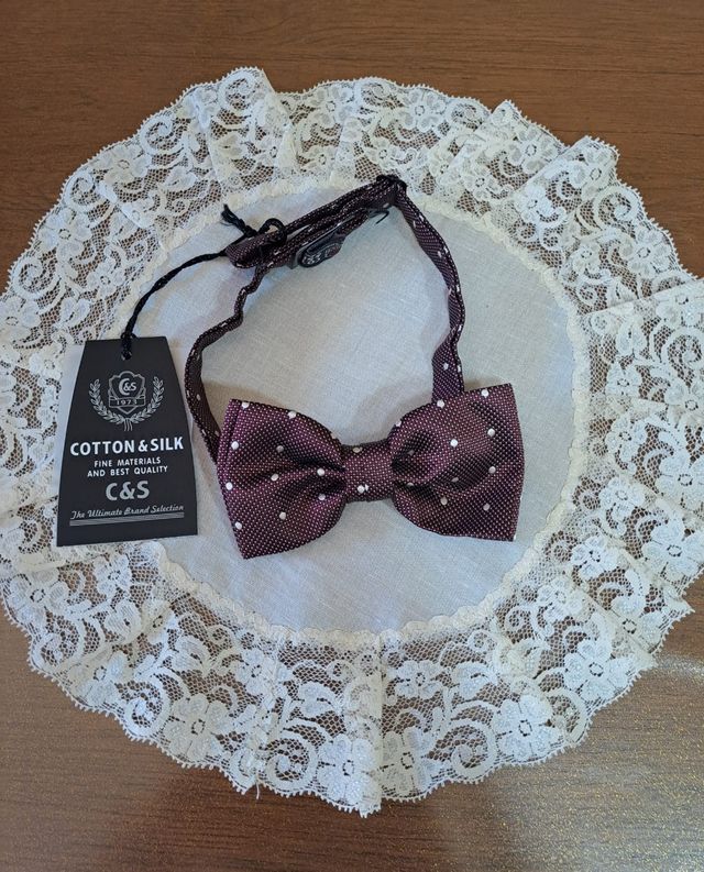 Cotton & Silk bordeaux bow tie