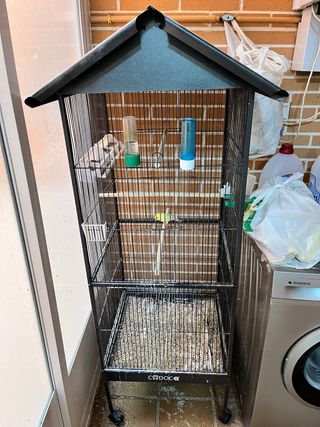Jaula cría canarios o loro
