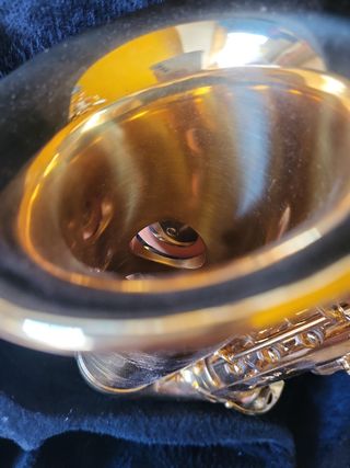 Saxo Alto JASON
