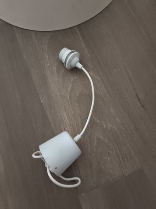 Tulipa Beige Tela