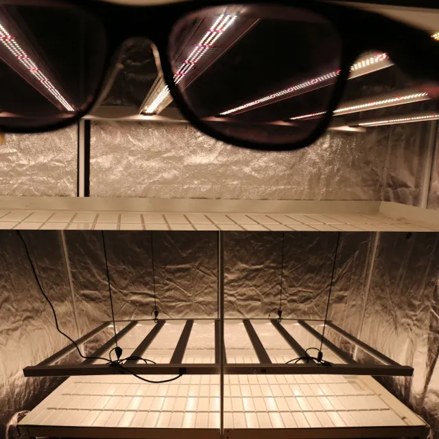Luz LED Agrolite QB 1080W 2,9