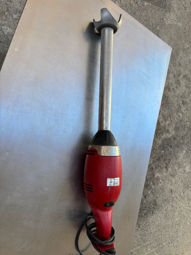 Batidora de brazo Sammic