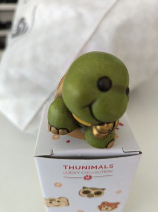 Tartaruga piccola Thun nuova