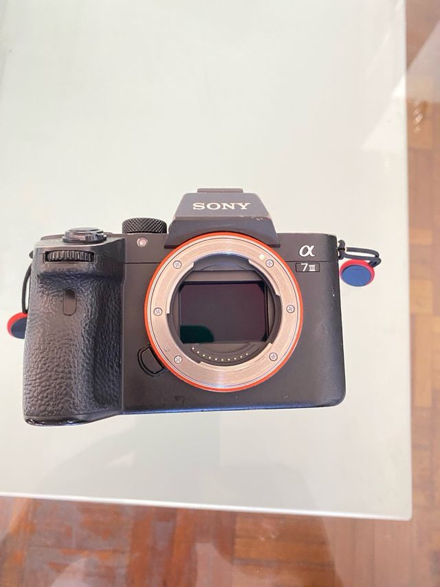 Sony Alpha 7 III Cámara