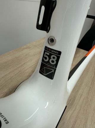 Cuadro Felt FR Rally 58