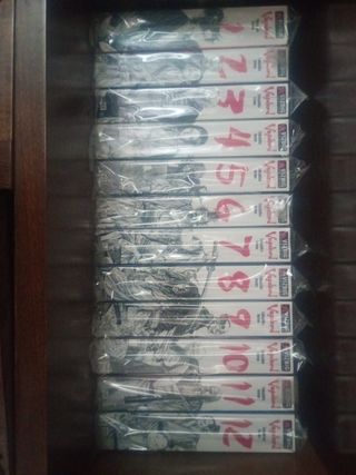Vagabond, Vol. 1 (VIZBIG Edition)