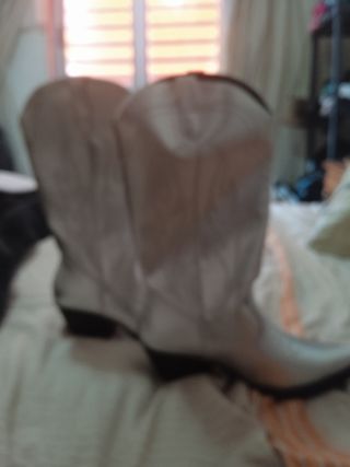 Botas plateadas