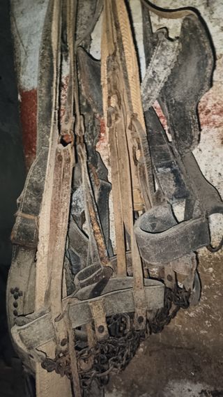 Monturas de caballo antiguas