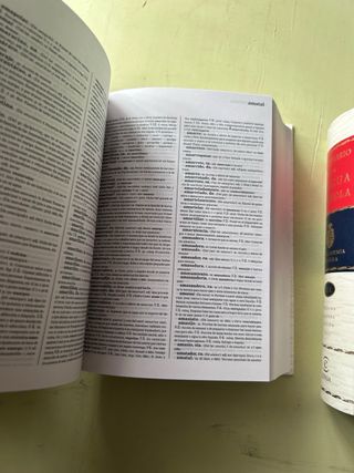 DICCIONARIO DE LA LENGUA ESPAÑOLA REAL ACADEMIA ES