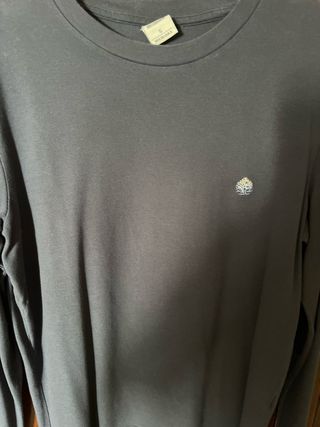 Camiseta gris manga larga hombre T.S, azul marino