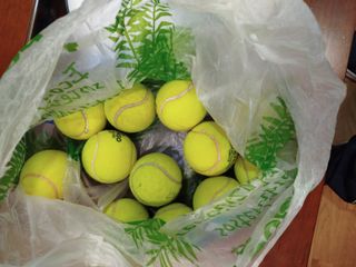 Dos raquetas de tenis y 16 pelotas