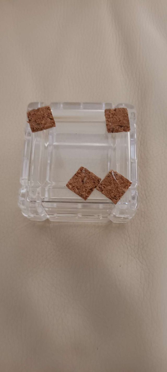 Posacenere in cristallo con coperchio nuovo