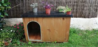 Caseta para Perro de Madera