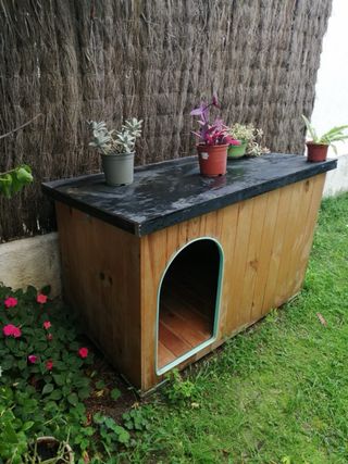 Caseta para Perro de Madera