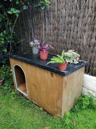 Caseta para Perro de Madera