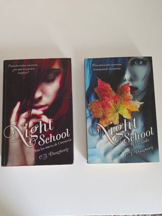Tras los muros de Cimmeria (Night School 1)
