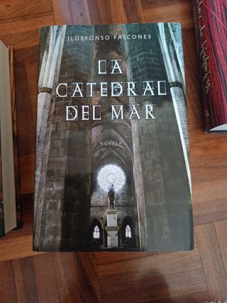 Lote de libros de narrativa