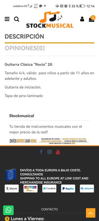 Guitarra Rocío R20