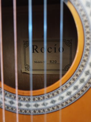 Guitarra Rocío R20