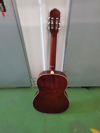 Guitarra Rocío R20