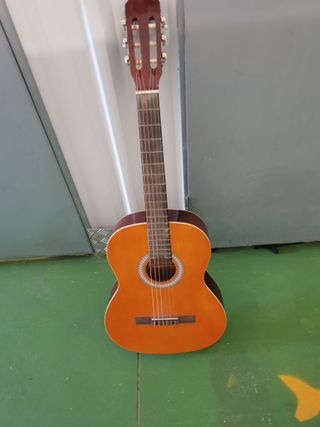 Guitarra Rocío R20