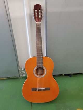Guitarra Rocío R20
