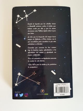 Piratas del firmamento