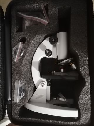 Microscopio Nuevo