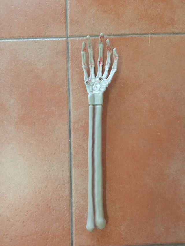 Mano y antebrazo esqueleto Halloween