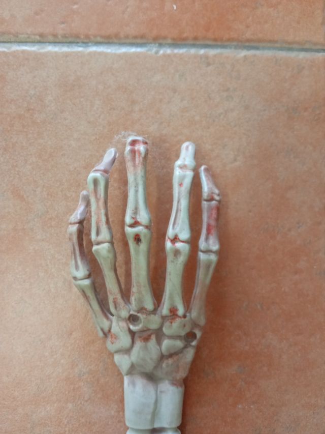 Mano y antebrazo esqueleto Halloween