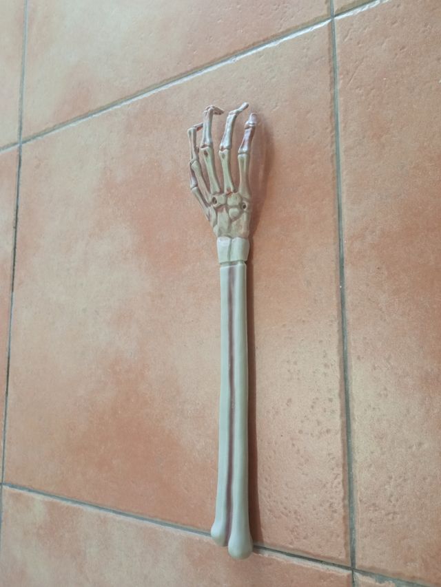 Mano y antebrazo esqueleto Halloween