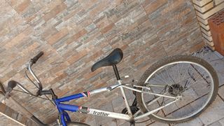 Bicicleta Globetrotter