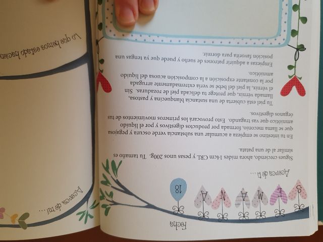 Diario de embarazo Cuéntame mamá