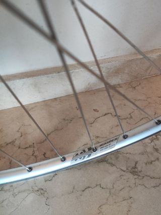 Rueda trasera bici carretera Campagnolo