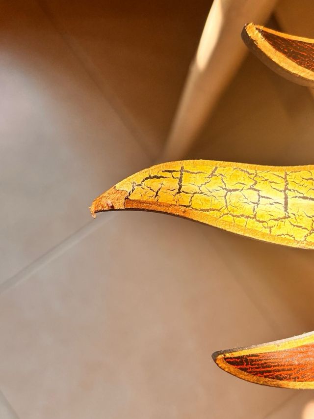 Espejo Sol Decorativo