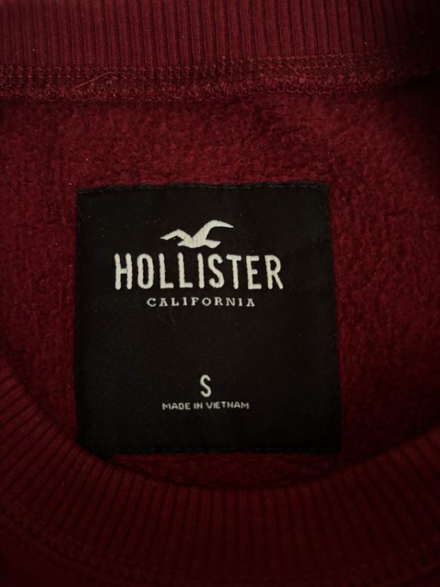 Sudadera Hollister