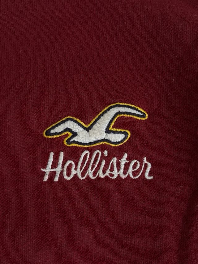 Sudadera Hollister