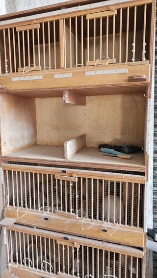 Jaula madera perdices/codornices