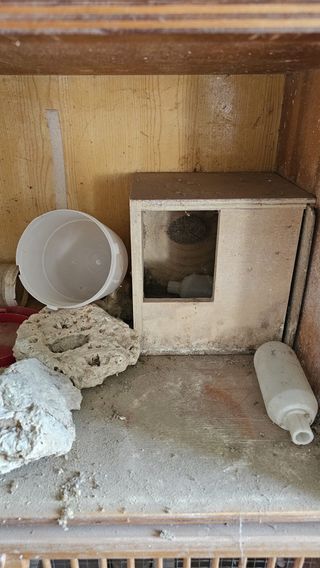 Jaula madera perdices/codornices