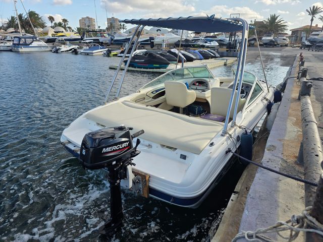 Sea Ray 190 BR