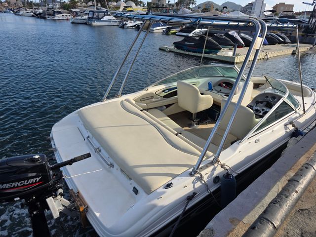 Sea Ray 190 BR